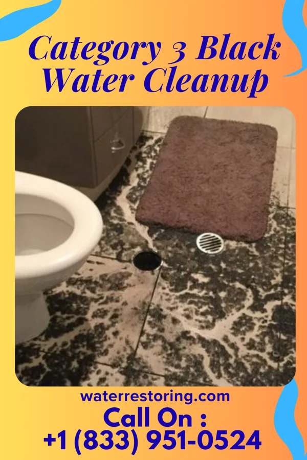 Category 3 Black Water Cleanup in Erie, KS
