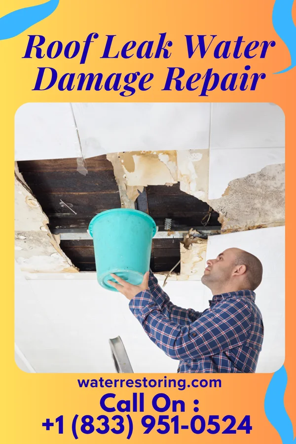 Roof Leak Water Damage Repair in Erie, KS